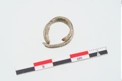 Foto von Bleiring (NHMW-PRAE-025053a)